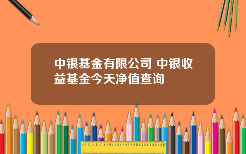 中银基金有限公司 中银收益基金今天净值查询